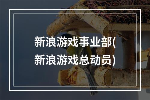 新浪游戏事业部(新浪游戏总动员)