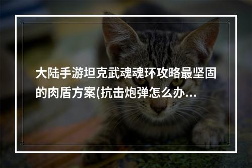 大陆手游坦克武魂魂环攻略最坚固的肉盾方案(抗击炮弹怎么办？)