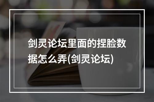 剑灵论坛里面的捏脸数据怎么弄(剑灵论坛)