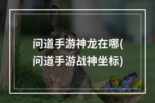 问道手游神龙在哪(问道手游战神坐标)