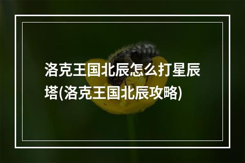 洛克王国北辰怎么打星辰塔(洛克王国北辰攻略)