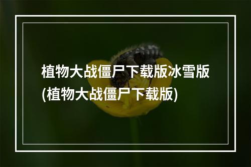 植物大战僵尸下载版冰雪版(植物大战僵尸下载版)