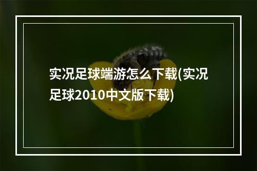 实况足球端游怎么下载(实况足球2010中文版下载)