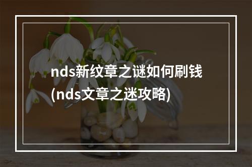 nds新纹章之谜如何刷钱(nds文章之迷攻略)