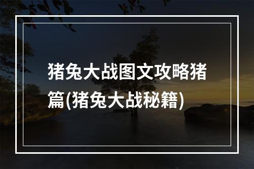 猪兔大战图文攻略猪篇(猪兔大战秘籍)