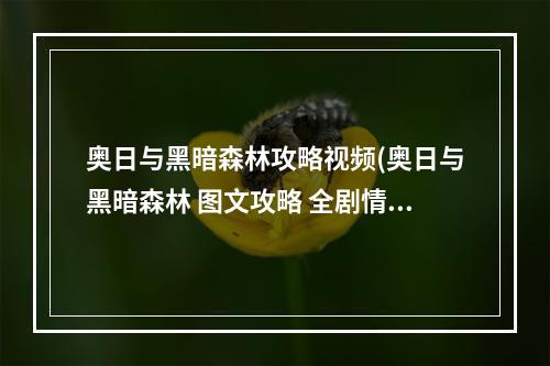 奥日与黑暗森林攻略视频(奥日与黑暗森林 图文攻略 全剧情通关攻略序章)