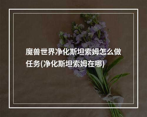 魔兽世界净化斯坦索姆怎么做任务(净化斯坦索姆在哪)