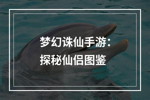 梦幻诛仙手游：探秘仙侣图鉴