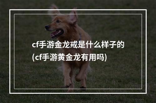 cf手游金龙戒是什么样子的(cf手游黄金龙有用吗)