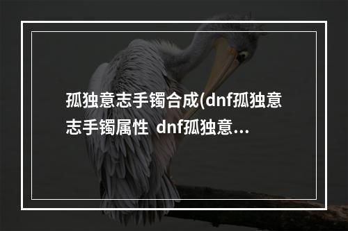 孤独意志手镯合成(dnf孤独意志手镯属性  dnf孤独意志手镯获得方法)