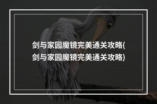 剑与家园魔镜完美通关攻略(剑与家园魔镜完美通关攻略)