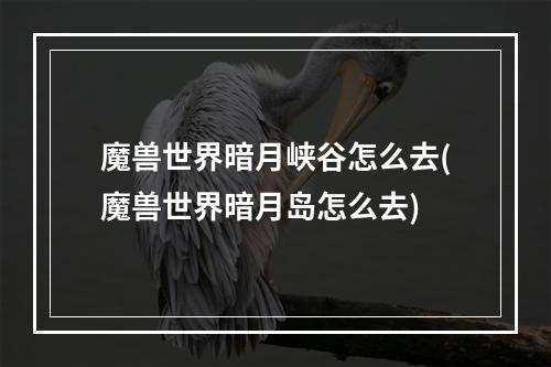 魔兽世界暗月峡谷怎么去(魔兽世界暗月岛怎么去)