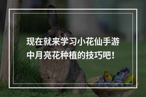 现在就来学习小花仙手游中月亮花种植的技巧吧！