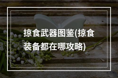 掠食武器图鉴(掠食装备都在哪攻略)