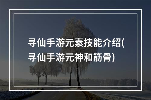 寻仙手游元素技能介绍(寻仙手游元神和筋骨)