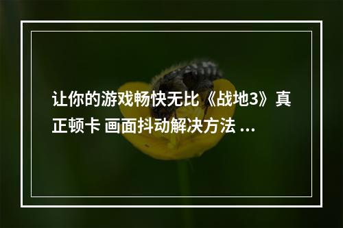 让你的游戏畅快无比《战地3》真正顿卡 画面抖动解决方法 流畅方法 去除碍眼