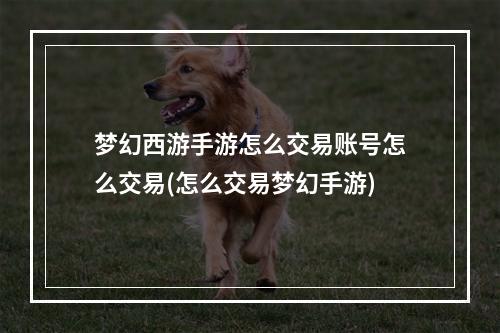 梦幻西游手游怎么交易账号怎么交易(怎么交易梦幻手游)