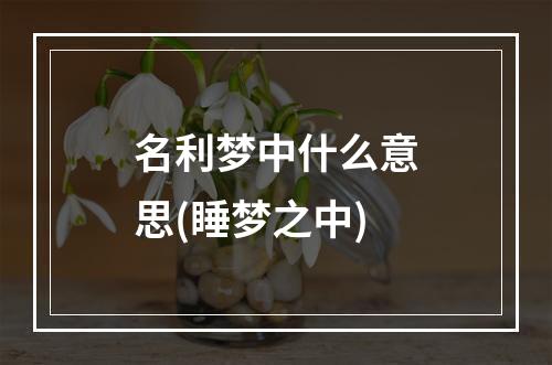 名利梦中什么意思(睡梦之中)