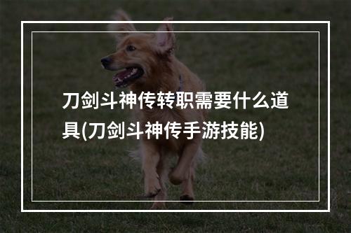 刀剑斗神传转职需要什么道具(刀剑斗神传手游技能)