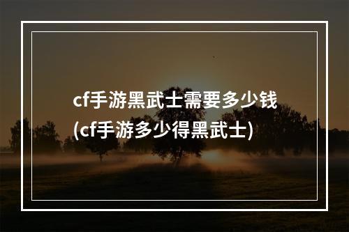 cf手游黑武士需要多少钱(cf手游多少得黑武士)