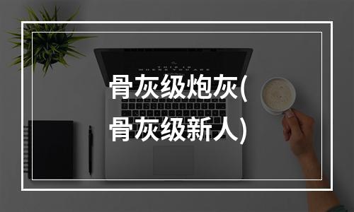 骨灰级炮灰(骨灰级新人)