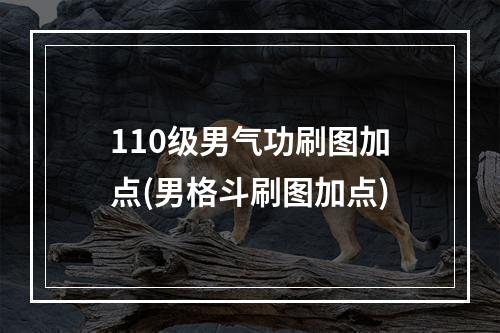 110级男气功刷图加点(男格斗刷图加点)