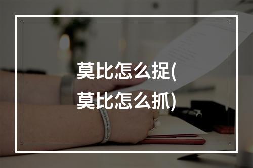 莫比怎么捉(莫比怎么抓)