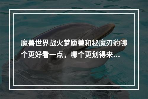 魔兽世界战火梦魇兽和秘魔刃豹哪个更好看一点，哪个更划得来，请买过的朋友说说(战火梦魇兽)