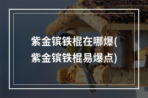 紫金镔铁棍在哪爆(紫金镔铁棍易爆点)