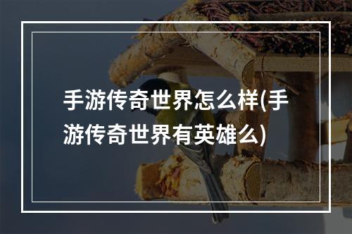 手游传奇世界怎么样(手游传奇世界有英雄么)