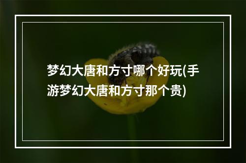 梦幻大唐和方寸哪个好玩(手游梦幻大唐和方寸那个贵)