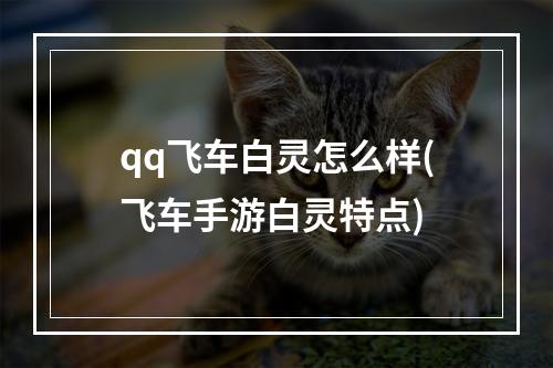 qq飞车白灵怎么样(飞车手游白灵特点)