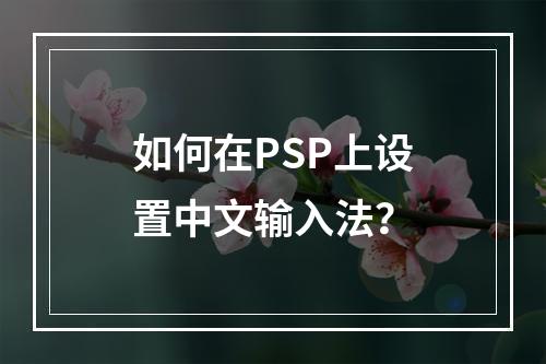 如何在PSP上设置中文输入法？