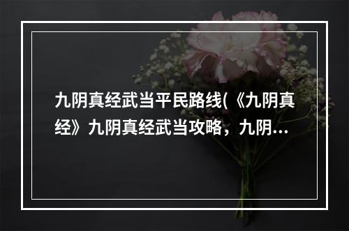 九阴真经武当平民路线(《九阴真经》九阴真经武当攻略，九阴真经武当攻略,轻松)