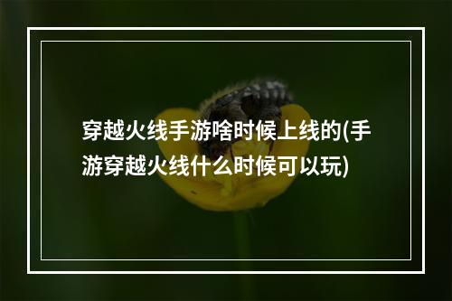 穿越火线手游啥时候上线的(手游穿越火线什么时候可以玩)