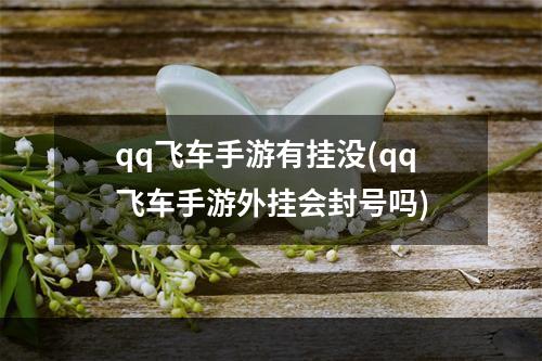 qq飞车手游有挂没(qq飞车手游外挂会封号吗)