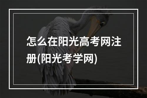 怎么在阳光高考网注册(阳光考学网)