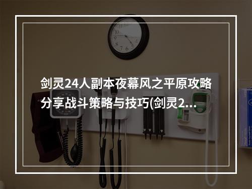 剑灵24人副本夜幕风之平原攻略分享战斗策略与技巧(剑灵24人副本夜幕风之平原通关攻略详解BOSS机制与技能解读)