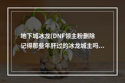 地下城冰龙(DNF领主粉删除 记得那些年肝过的冰龙城主吗)