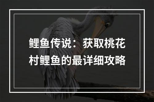 鲤鱼传说：获取桃花村鲤鱼的最详细攻略