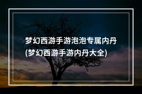 梦幻西游手游泡泡专属内丹(梦幻西游手游内丹大全)