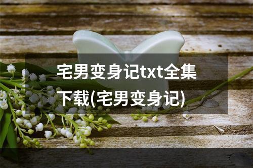 宅男变身记txt全集下载(宅男变身记)