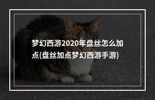 梦幻西游2020年盘丝怎么加点(盘丝加点梦幻西游手游)