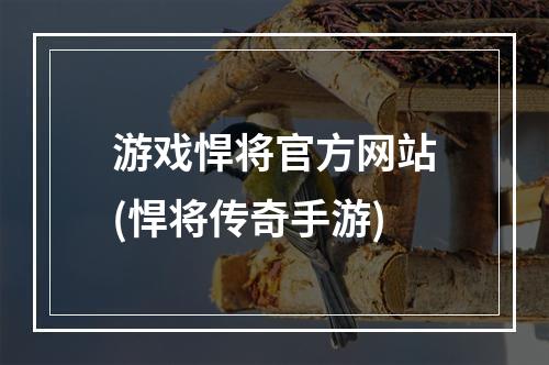 游戏悍将官方网站(悍将传奇手游)