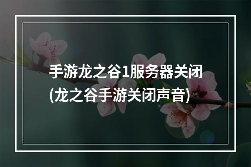 手游龙之谷1服务器关闭(龙之谷手游关闭声音)