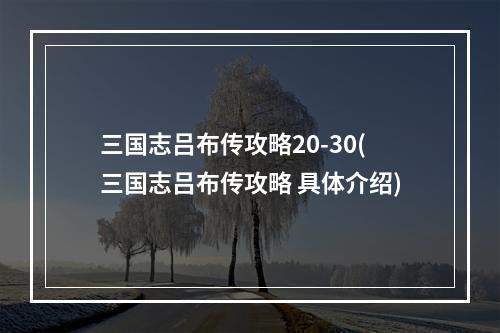 三国志吕布传攻略20-30(三国志吕布传攻略 具体介绍)