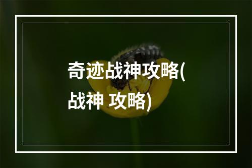 奇迹战神攻略(战神 攻略)