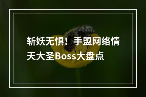 斩妖无惧！手盟网络情天大圣Boss大盘点