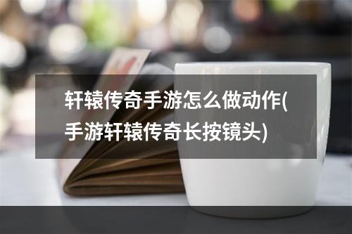 轩辕传奇手游怎么做动作(手游轩辕传奇长按镜头)