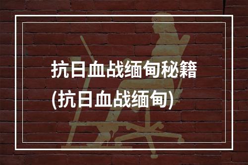 抗日血战缅甸秘籍(抗日血战缅甸)